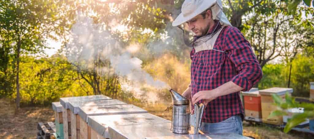 Beekeeper-preparing-smoke