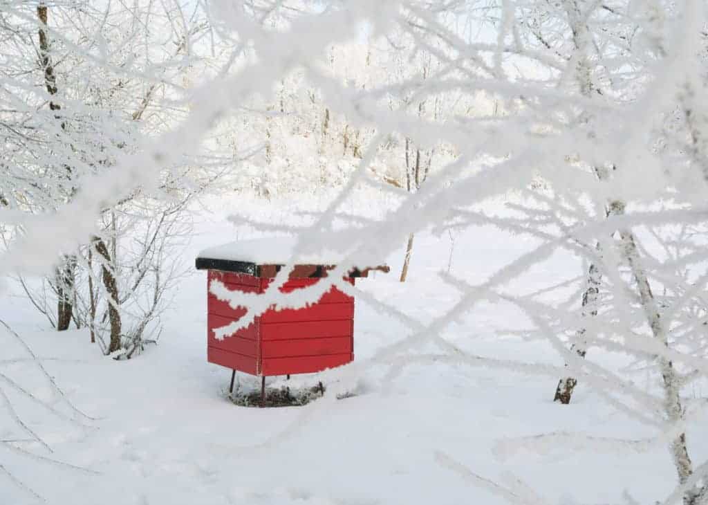 Red-Beehive-Winter