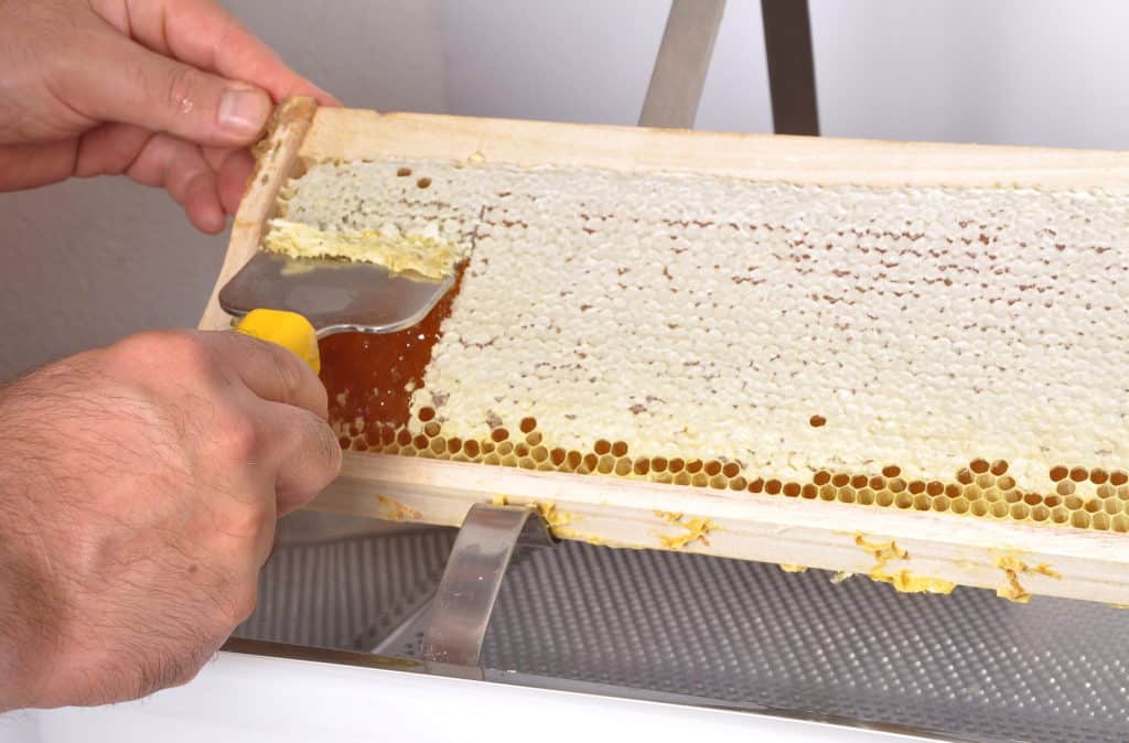 Uncapping-Honey-Comb