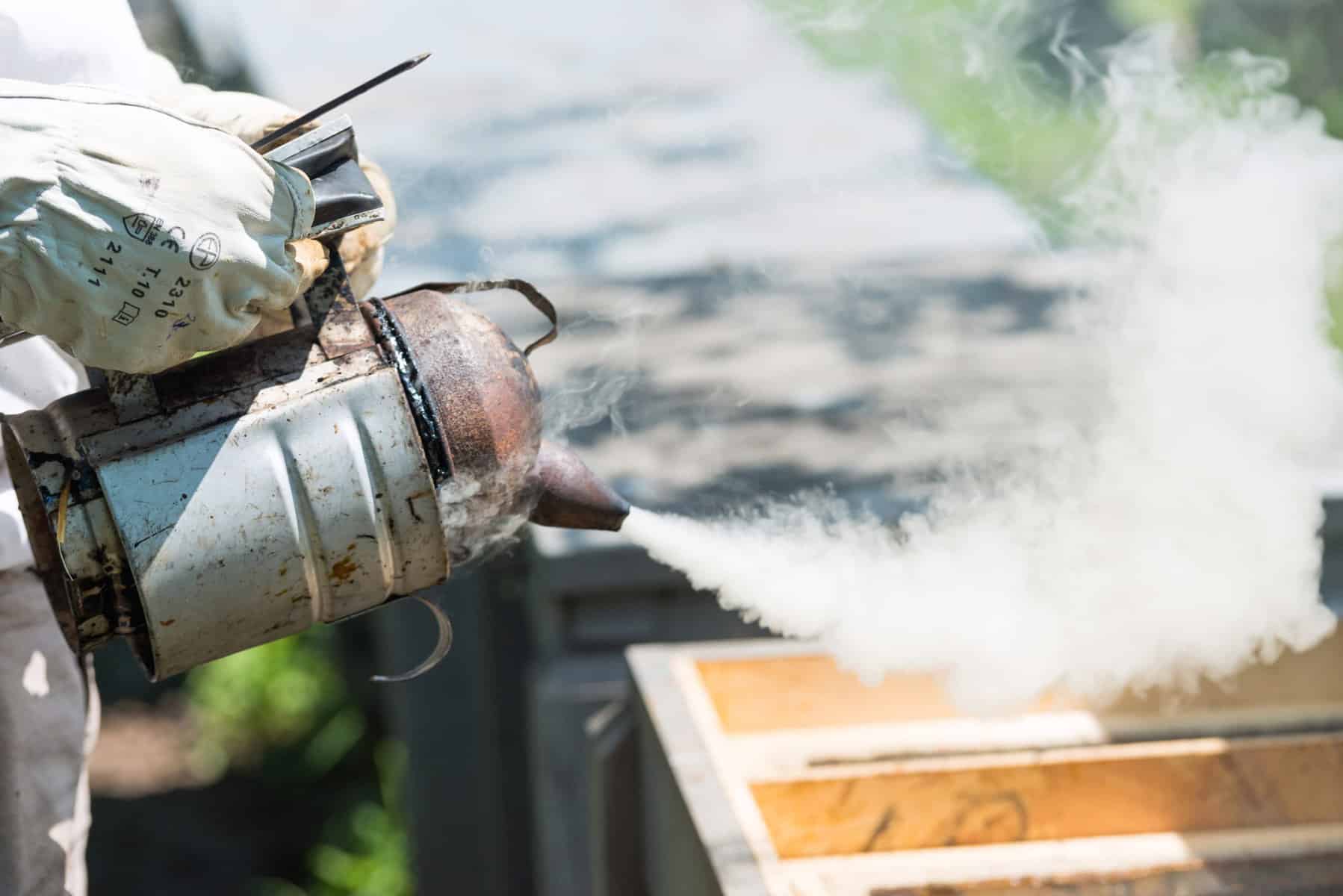 The Top 12 Best Fuels For Your Beehive Smoker Bee Keeper Facts