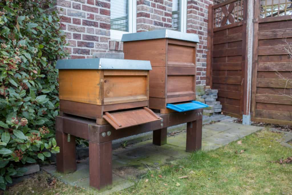 beehive-beside-house