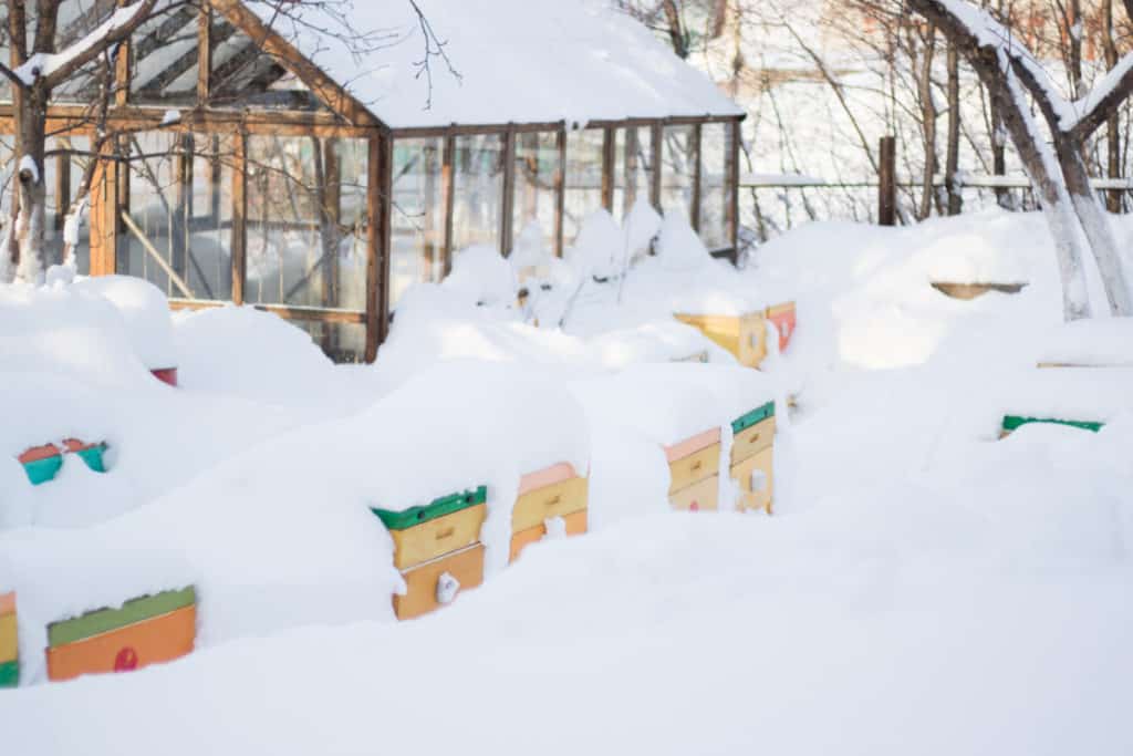 beehives-winter-snow-covered