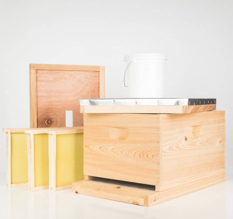 What Is The Difference Between a Brood Box And a Super? Bee Keeper Facts Beekeeping For