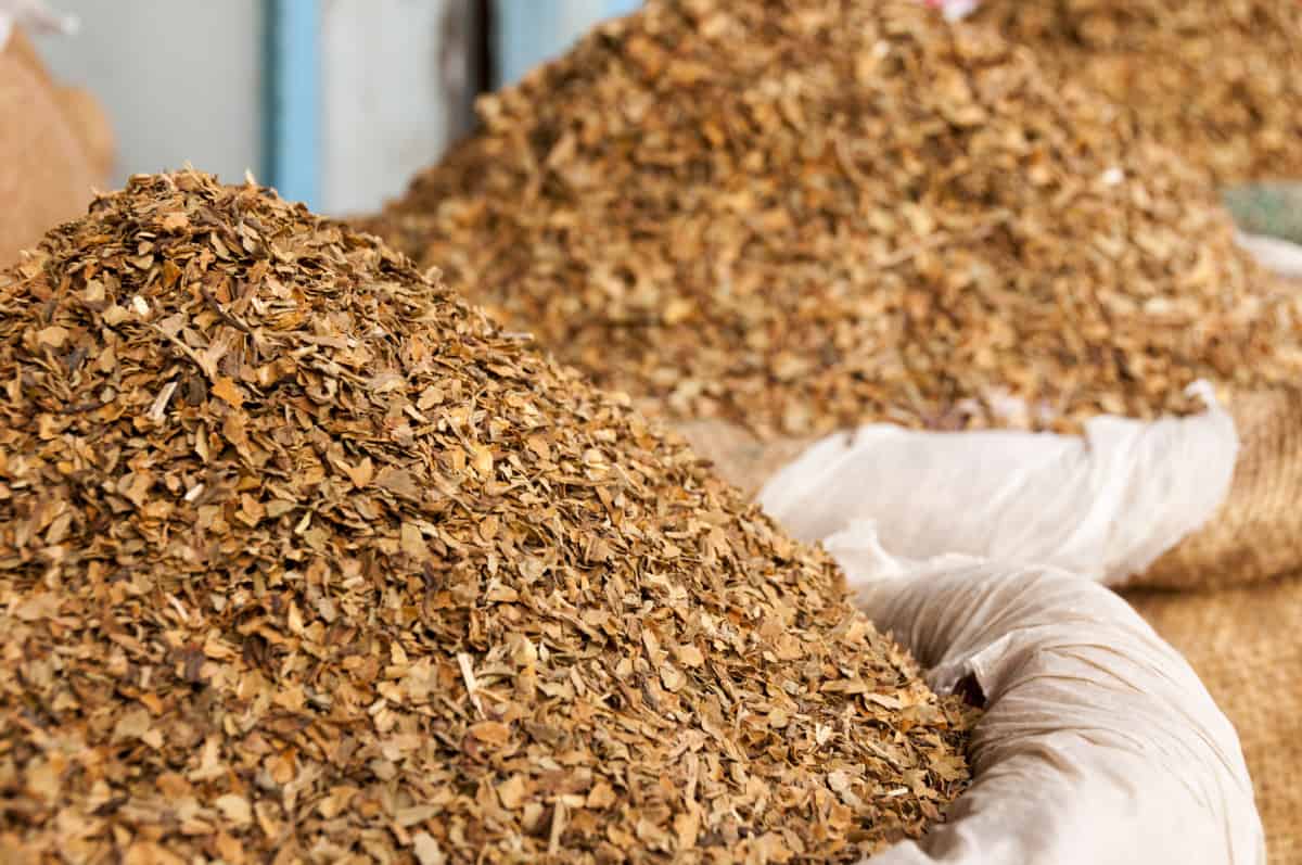 The Top 12 Best Fuels For Your Beehive Smoker Bee Keeper Facts