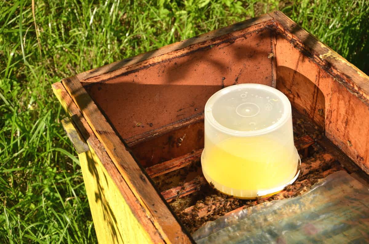 What Is The Difference Between A Nuc And A Package Of Bees? Bee