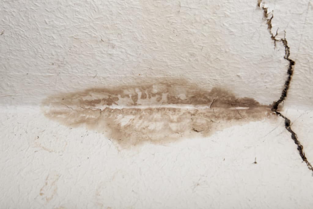 mold-cracked-corner-old-house-ceiling
