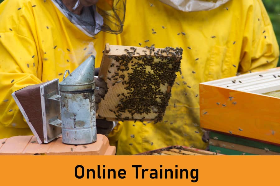 Beekeeping Online Training