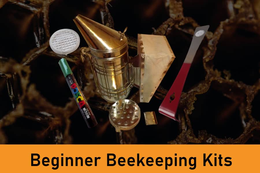 Beginner Beekeeping Kits