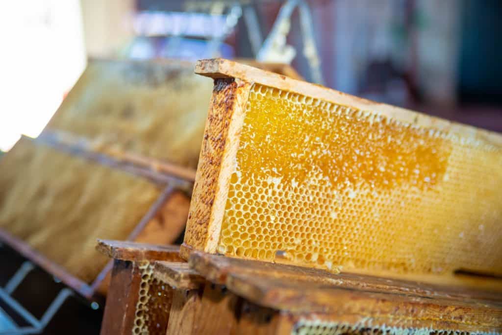 stocked-honey-frames