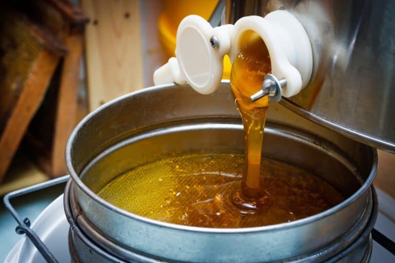 Can You Buy Honey And Resell It? Ethical and Profitable?
