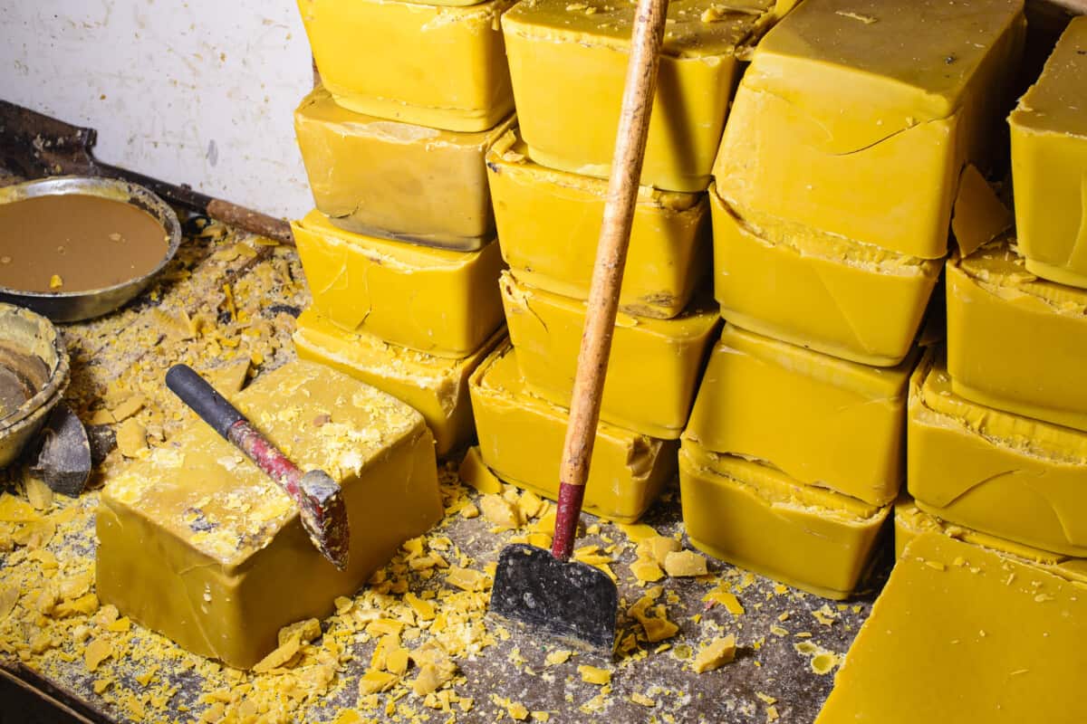 Selling Beeswax How Much Money Can You Make? Profitable? Bee Keeper