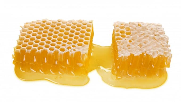 Selling Honeycomb: How Much Can You Make? A Practical Guide