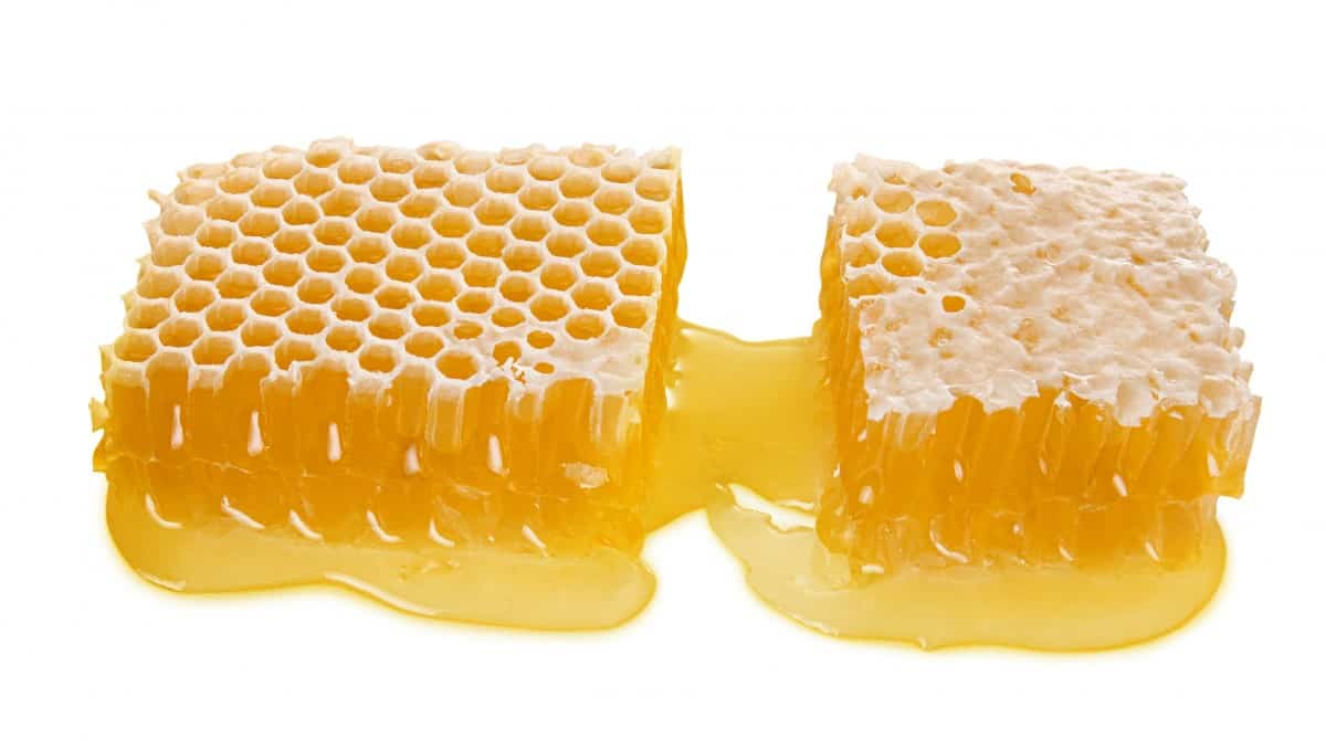 Selling How Much Can You Make? A Practical Guide Bee