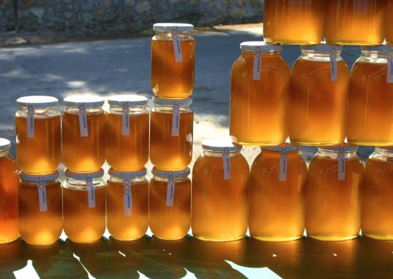 Selling Honey: How Much Money Can You Make? A Simple Guide