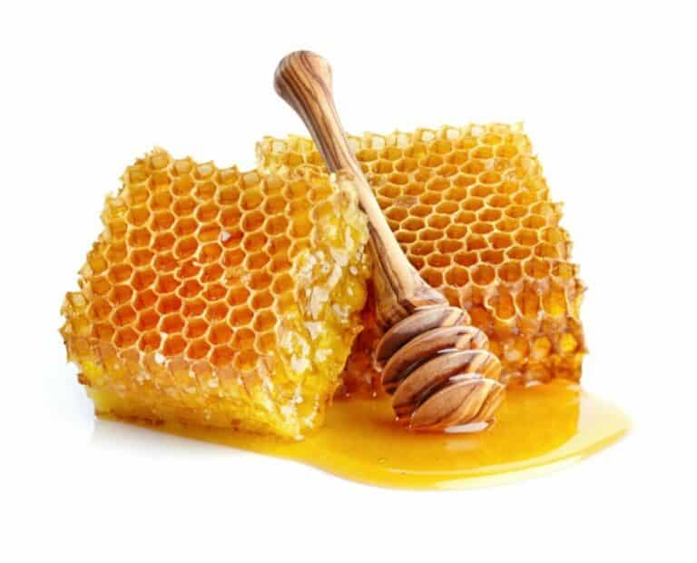 Can You Harvest Honey Your First Year? Is It Realistic?
