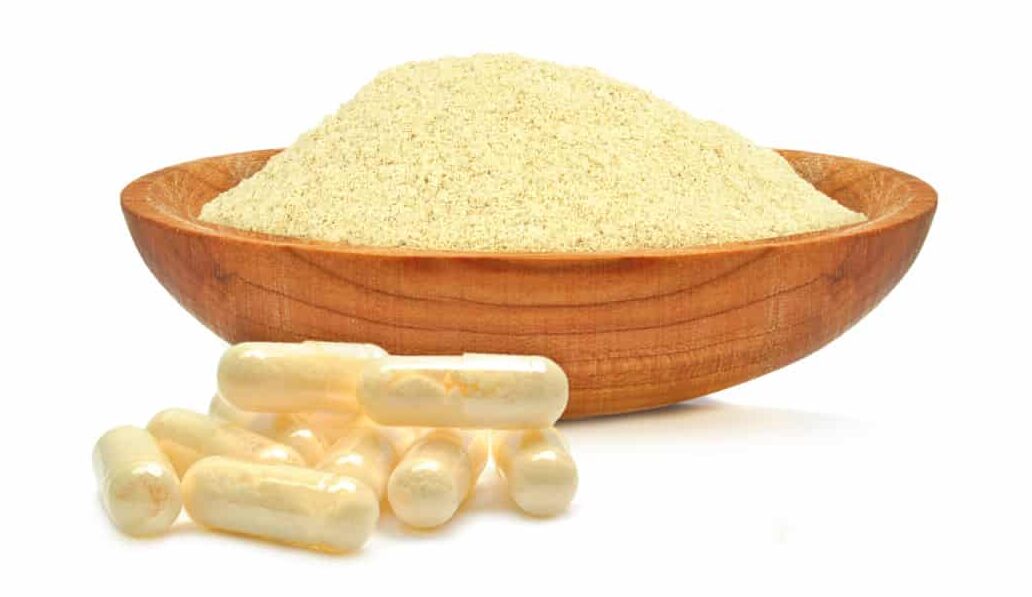 Selling Royal Jelly How Much Can You Make? Is It Worth It? Bee