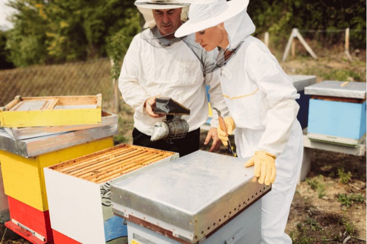 A beginner female beekeeper with her mentor working at apiary