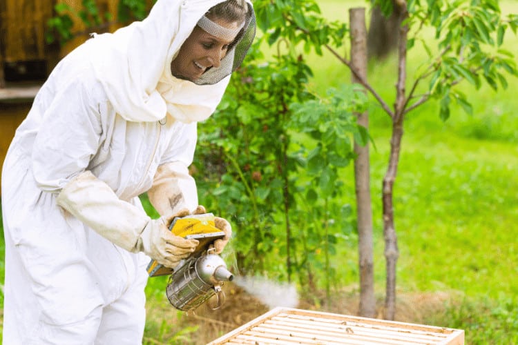 A happy female beekeeper using the bee smoker