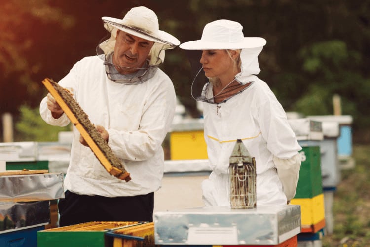 An expert explaining for a young woman How to care bees