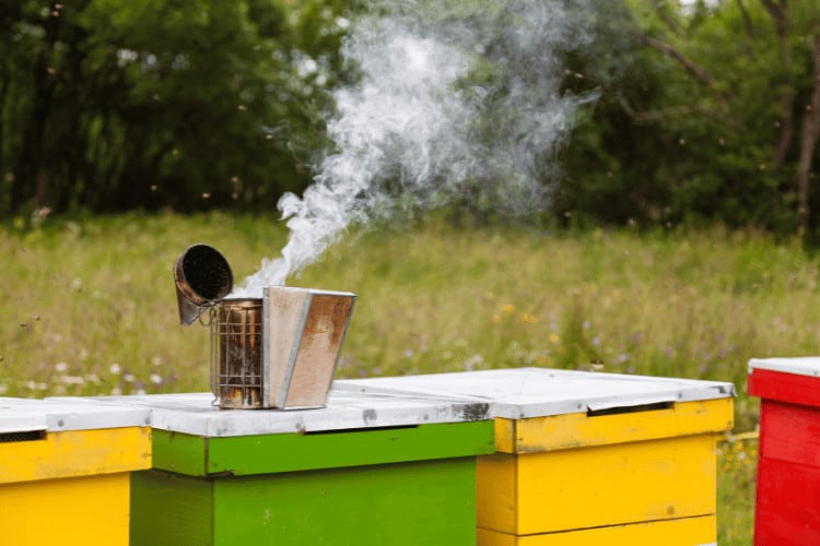 Bee smoker on colorful bee hives