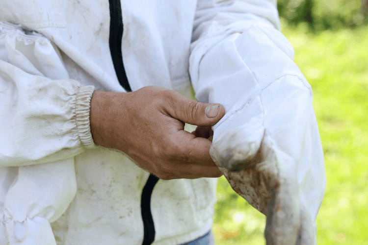 Beekeeper Puts on Protective Gloves in Apiary Closeup