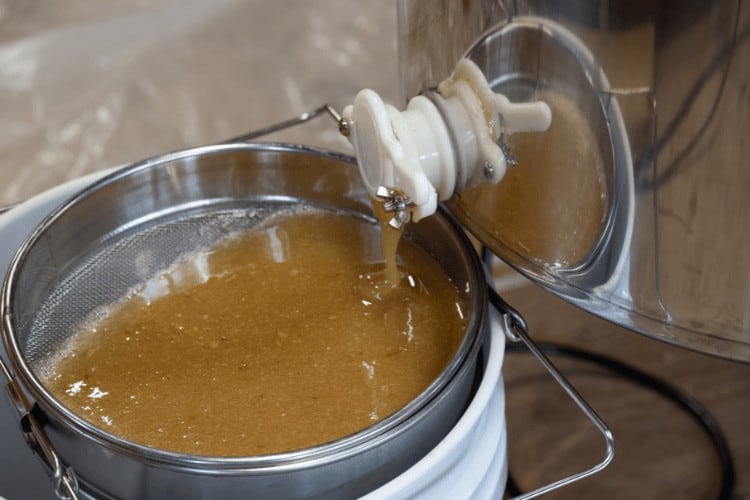 Beekeeper extracting Honey from an Extractor