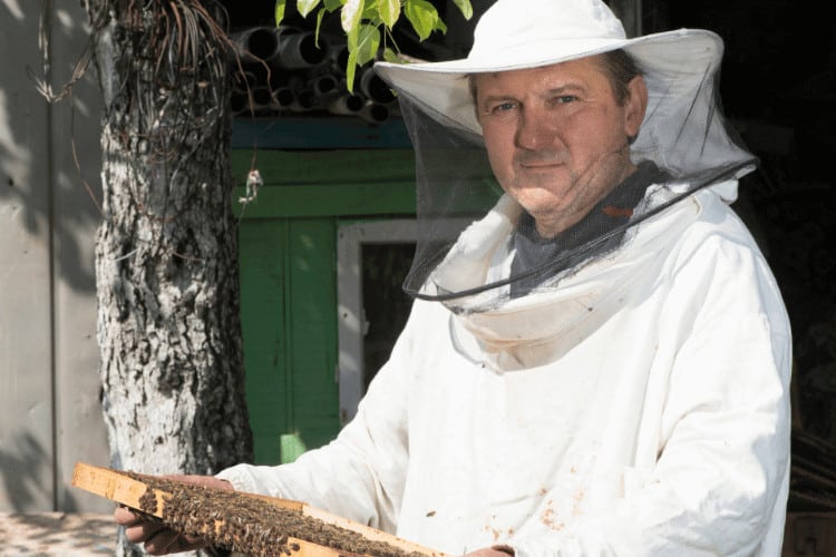 Beekeeper in a Uniform Checking Honeycombs