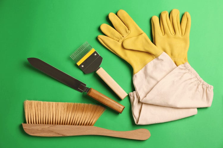 Beekeeping Tools on Green Background, Flat Lay