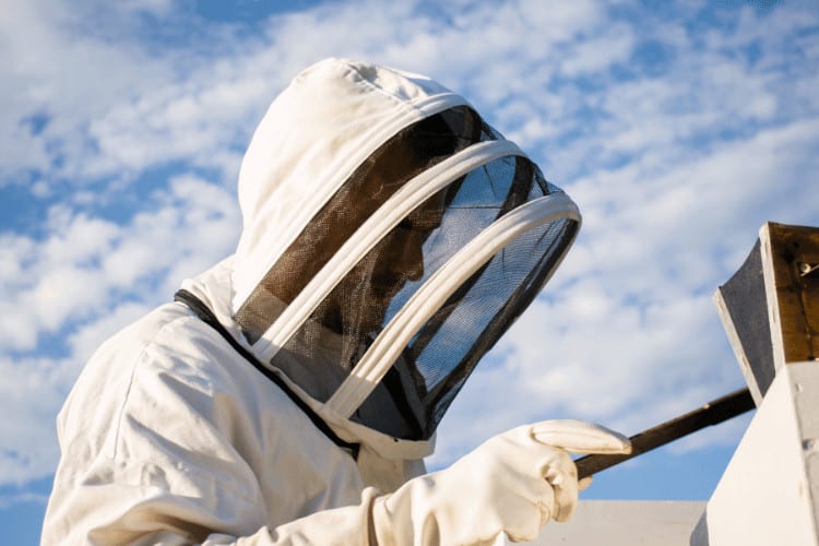 Close up of beekeeper in white beekeeping suit with sky as a background