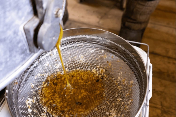Fresh honey pouring out from the honey extractor