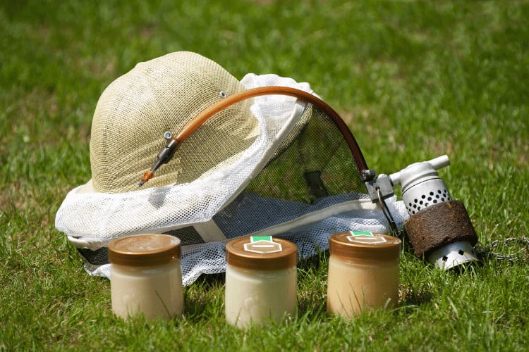 Honey, hat and Smoker beekeepers tool