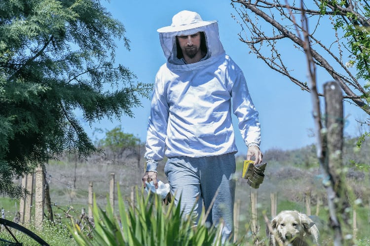 Male beekeeper in protective white clothing working at apiary with his dog