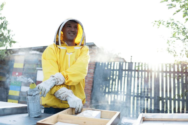 Professional beekeeper working outdoors and wearing the protective suits used for beekeeping