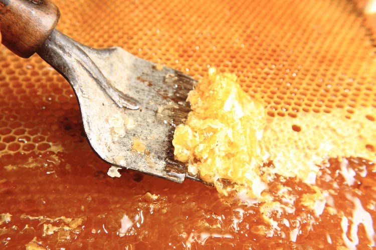 Removing bee wax from fresh honey