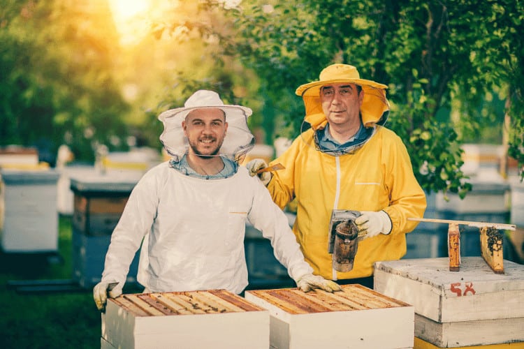 Smiling beekeepers working at apiary