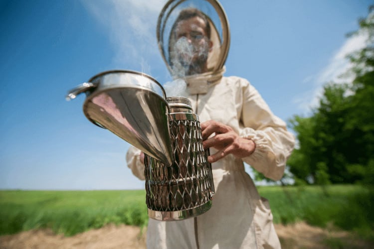 Beekeeper with smoke tool. making clouds