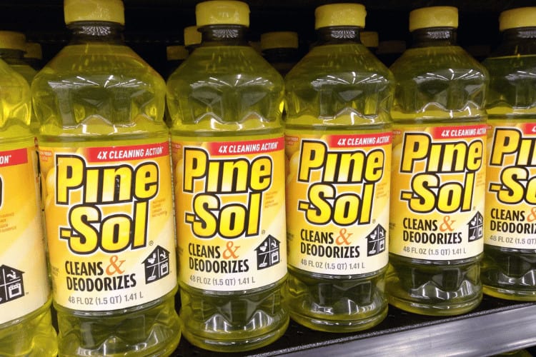 Does Pine-Sol Attract Carpenter Bees?