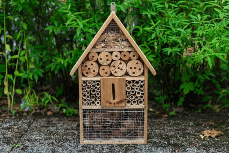 bee hotel